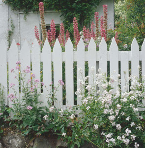 traditional picket fence