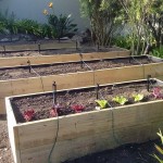 planter boxes